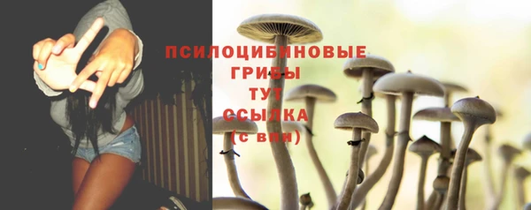 спайс Беломорск