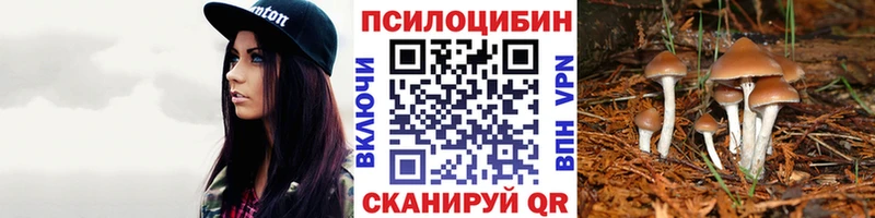 Псилоцибиновые грибы ЛСД  Кореновск 